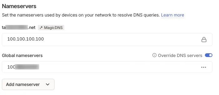 displays the nameserver section in tailscales web ui to visualize where the override and custom nameserver buttons are